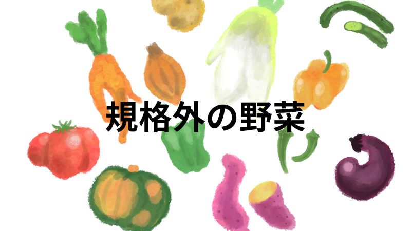 規格外の野菜は訳あり